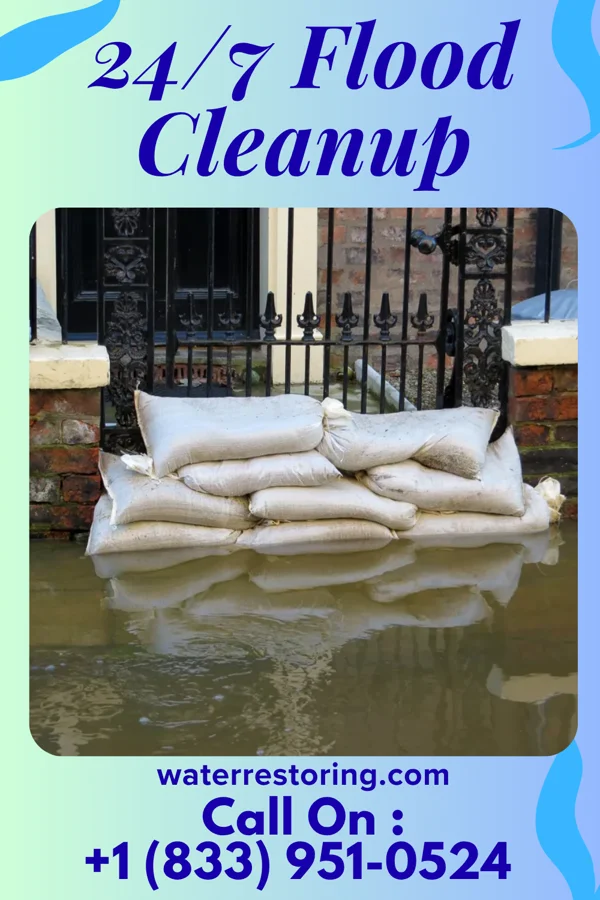 24/7 Flood Cleanup in Blue Grass, IA