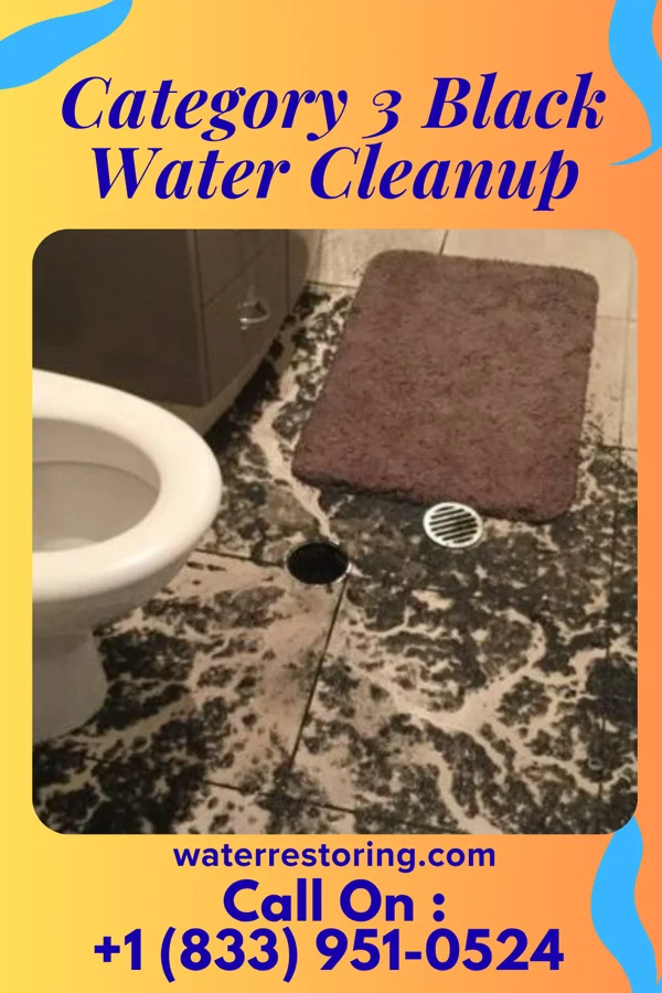 Category 3 Black Water Cleanup in Blue Grass, IA