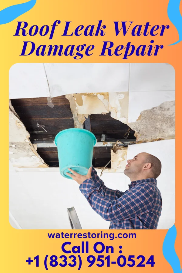 Roof Leak Water Damage Repair in Blue Grass, IA